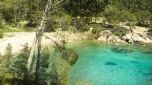 calanque-port-dalon-st-cyr-